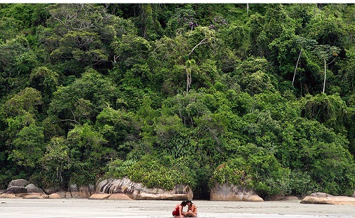 O colapso da biodiversidade