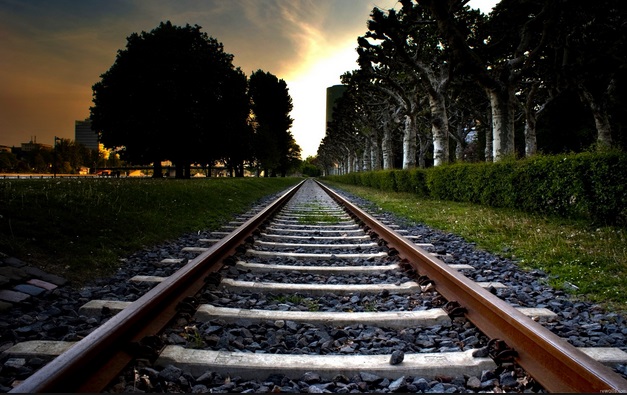 Transporte ferroviário: há futuro para uma logística mais eficiente e com mais qualidade?