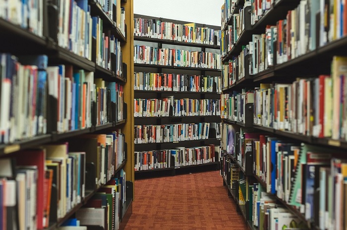 As bibliotecas de conhecimento e as de objetos