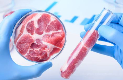 O preparo de amostras de carne e produtos cárneos