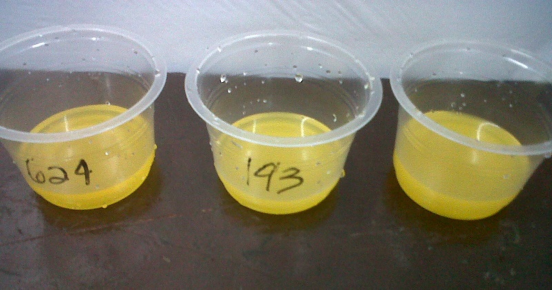 Revista AdNormas - O teste duo-trio em análise sensorial