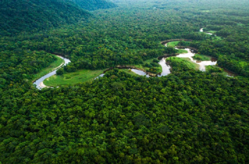 A cobiça pelo bioma e pelas riquezas minerais da Amazônia