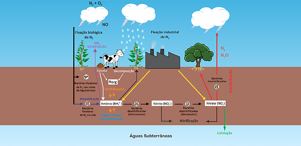 A contaminação dos aquíferos por nitrato