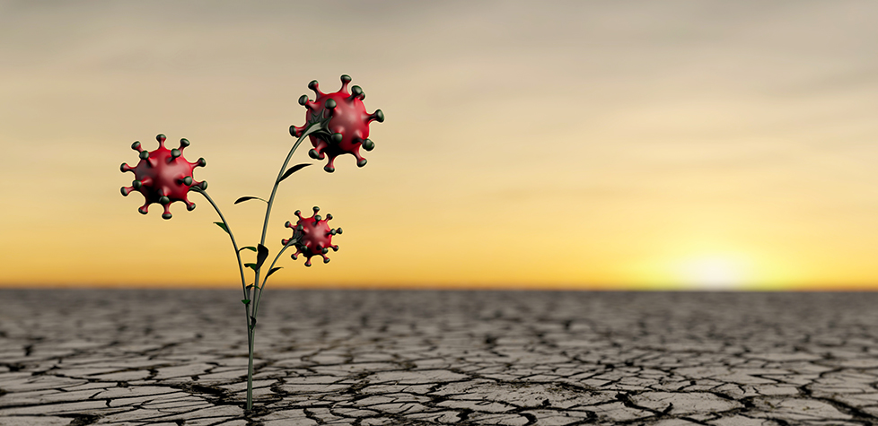 O impacto da pandemia sobre os sistemas de gestão ambiental