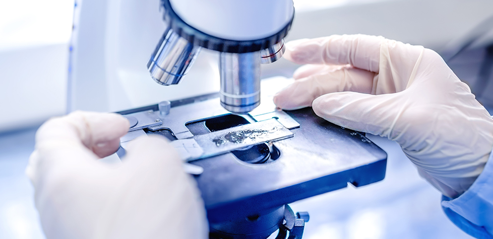 Biotecnologia: os biobancos e os métodos de contagem de células