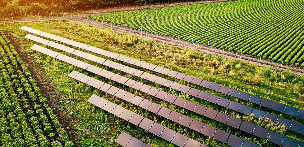 Reduzir o impacto ambiental da agricultura por meio da biotecnologia