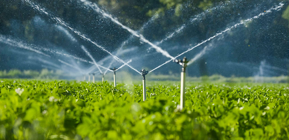 As especificações dos sprayers de irrigação