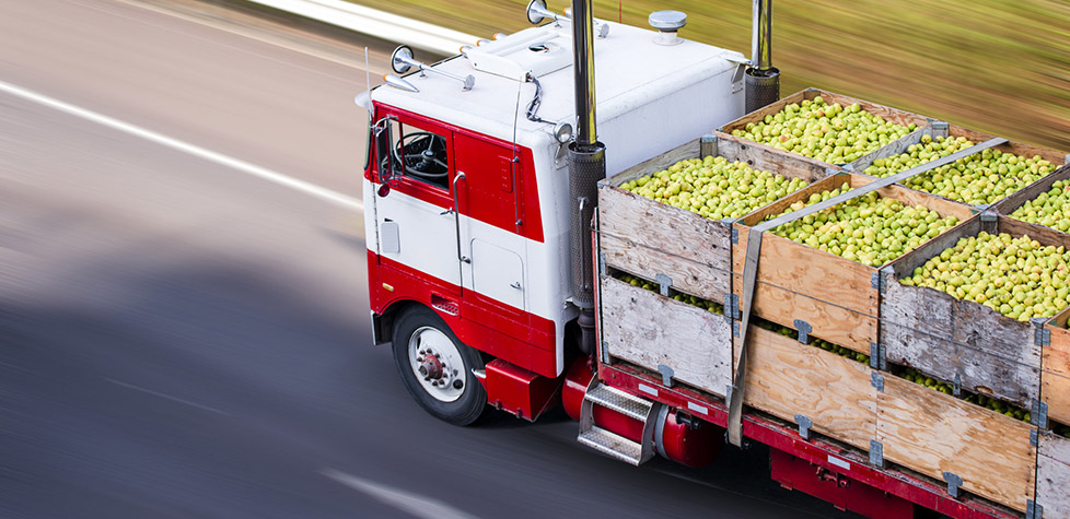 A segurança no transporte e armazenagem dos alimentos