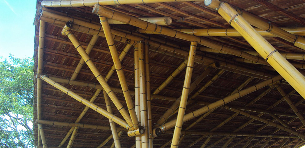 A Qualidade dos projetos de estruturas de bambu