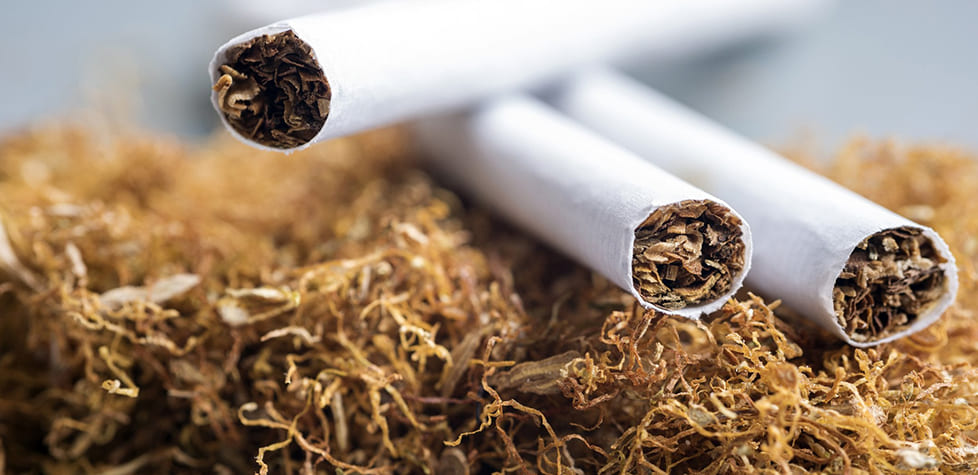 A determinação dos alcaloides totais como a nicotina em tabaco
