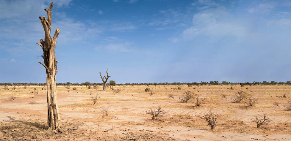 A gestão das boas práticas de combate à degradação da terra e desertificação