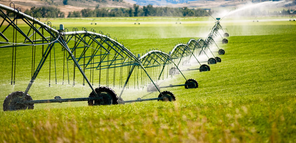 A uniformidade da distribuição de água em irrigação com sprayers ou aspersores