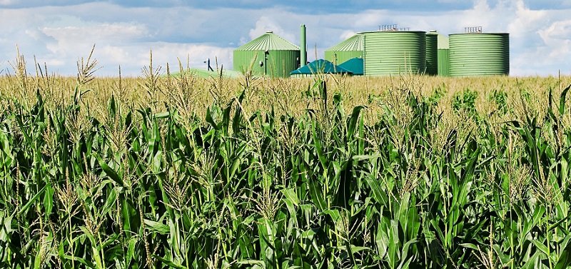 Os princípios da sustentabilidade em bioenergia