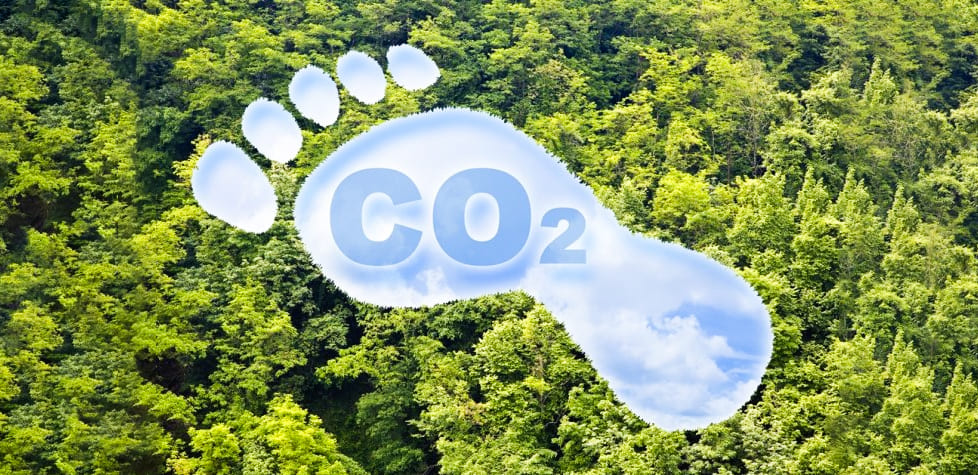 A pegada de carbono é uma estratégia para o mercado global de sustentabilidade