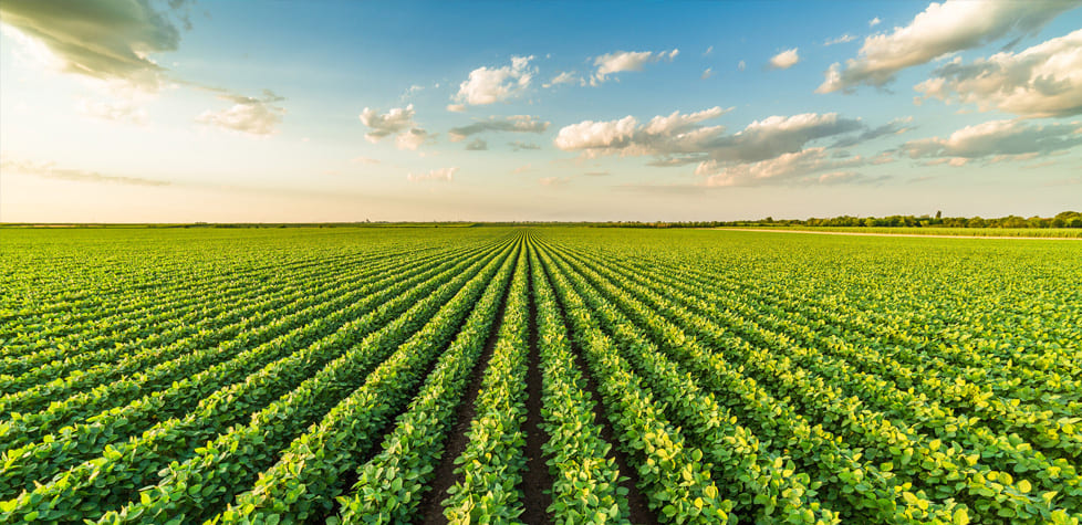 Os benefícios fiscais para o agronegócio