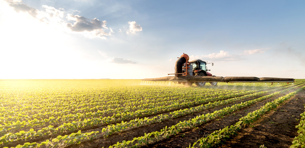 As oportunidades e os riscos na cadeia produtiva dos alimentos