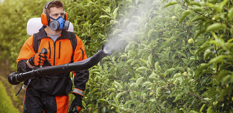 A vestimenta de proteção dos trabalhadores que manuseiam os agrotóxicos