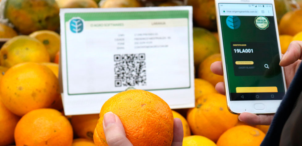 A transformação digital está facilitando a rastreabilidade de alimentos