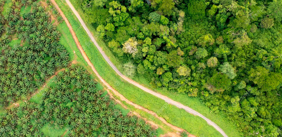 Buscando o equilíbrio ideal para as soluções mais sustentáveis na agricultura