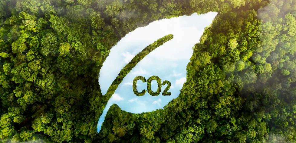 Como as empresas devem se preparar para o mercado de carbono