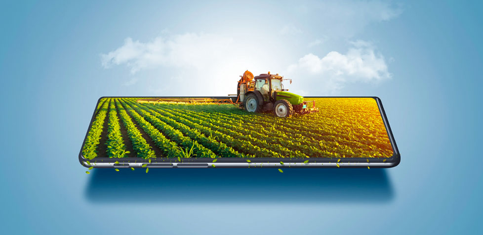 A transformação digital está aumentando a competitividade no agronegócio