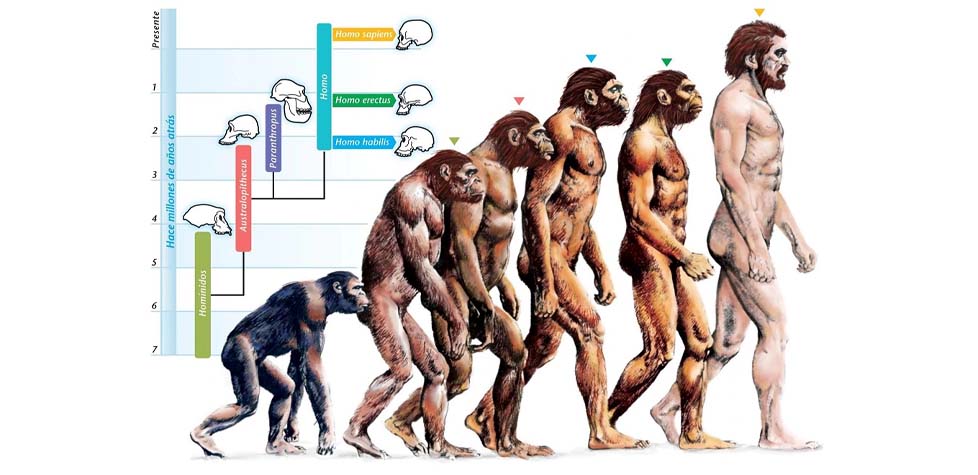 Homo sapiens: mais estranho que a ficção