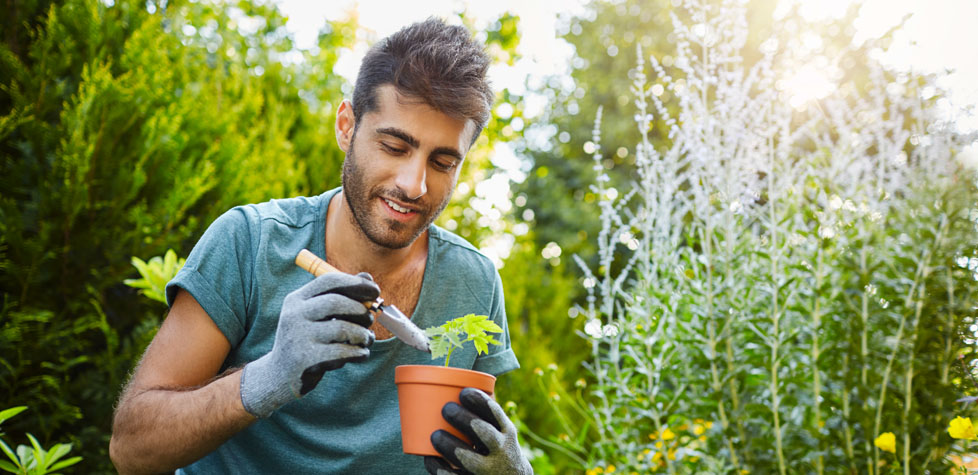A jardinagem é capaz de proporcionar os benefícios para o corpo e a mente