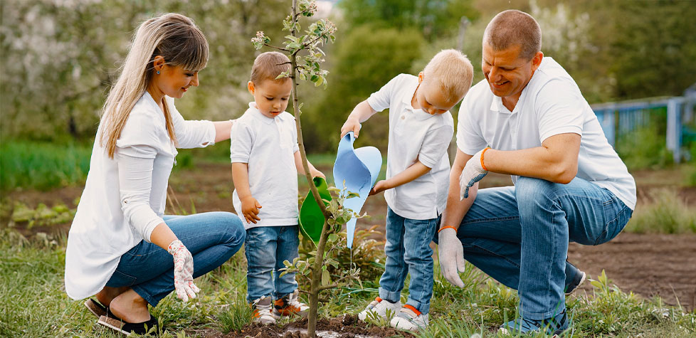 A saúde das plantas contribui diretamente para o bem-estar da sua família