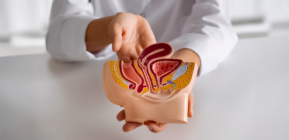As terapêuticas clínicas para a incontinência urinária não neurogênica
