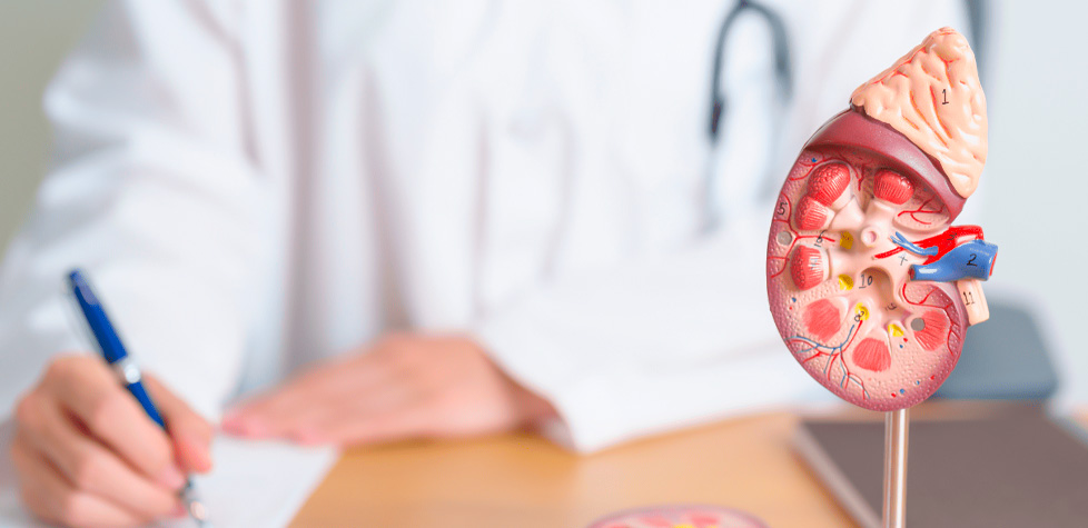 A terapia da síndrome nefrótica primária em adulto