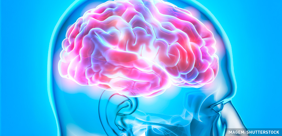 As causas da doença de Huntington