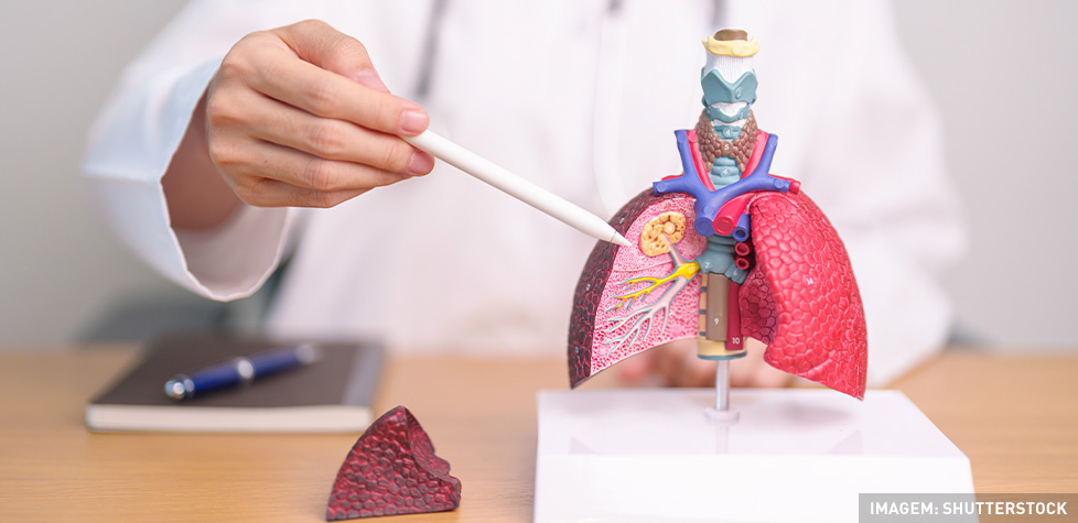 A prevenção e o controle das doenças respiratórias crônicas