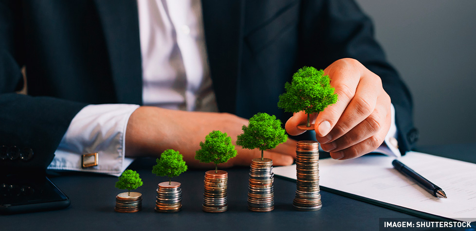 A conformidade para a verificação de declarações dos emissores de dívida verde