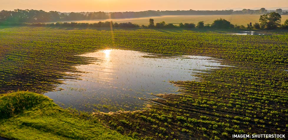 A elaboração de projetos de drenagem subterrânea para fins agrícolas