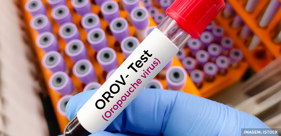 Os sintomas clínicos da febre do Oropouche