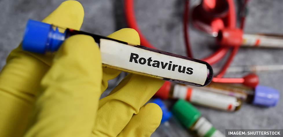 Os sintomas clínicos do rotavírus