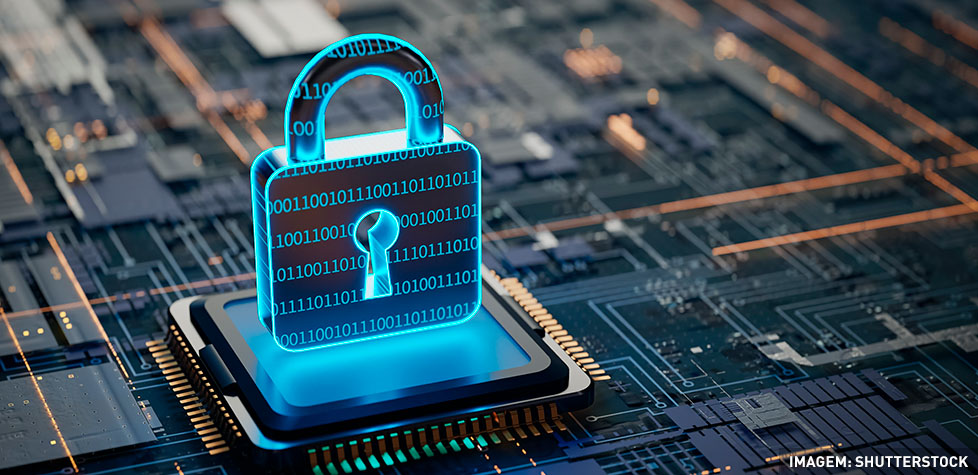 Os passos para as empresas se adequarem à LGPD sem grandes investimentos