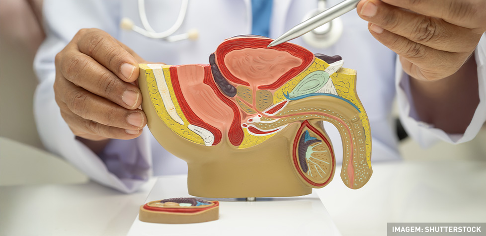 Os sintomas médicos do cancro mole