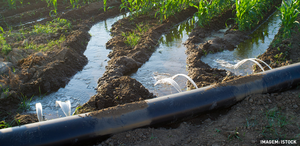 Os tubos agropecuários de PVC para irrigação e instalações hidráulicas rurais