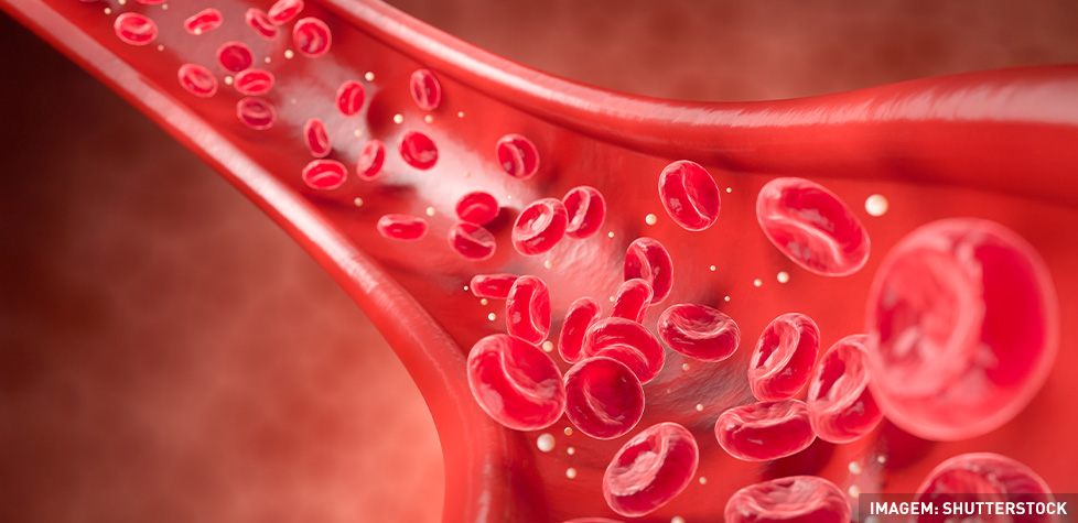 O protocolo clínico para a púrpura trombocitopênica idiopática