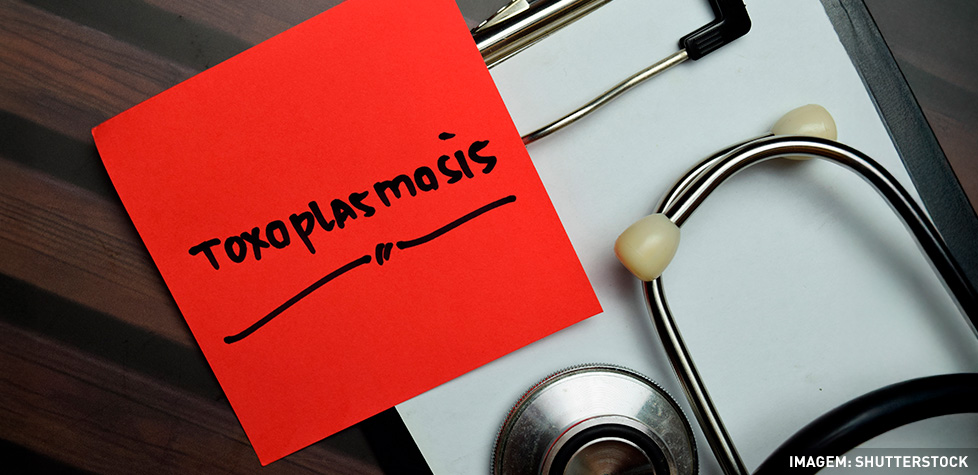 As manifestações clínicas da toxoplasmose