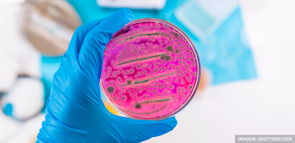 A determinação de endotoxinas bacterianas em produtos para a saúde