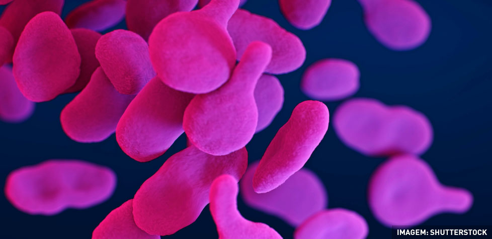 A medição das imagens em microscopia eletrônica das partículas em nanoescala