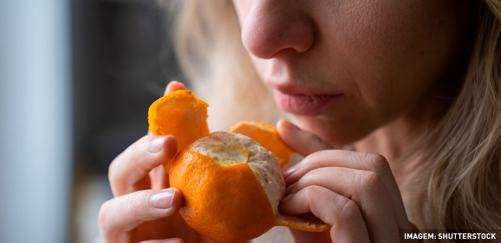 As causas médicas da anosmia