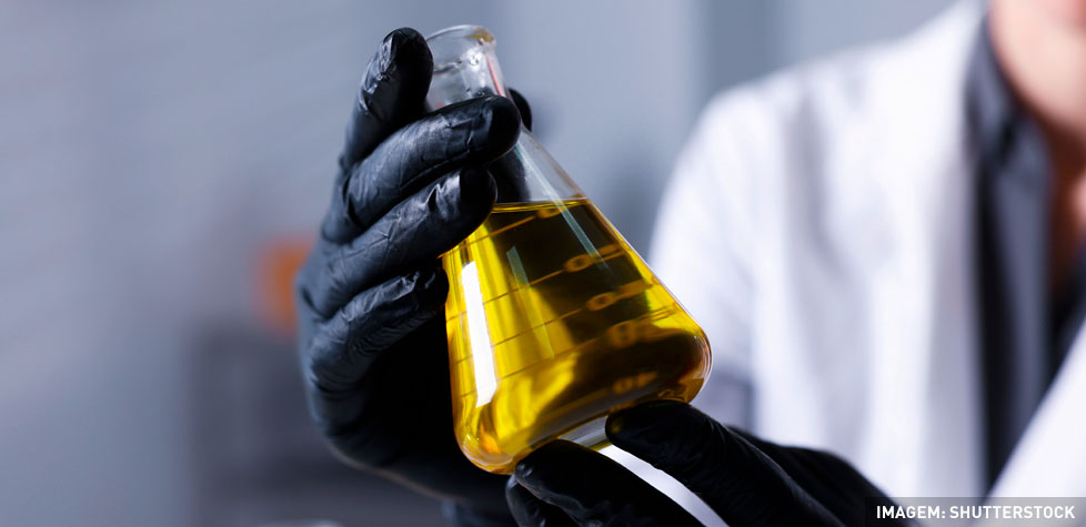 As interpretações do gases dissolvidos no óleo mineral isolante em equipamentos elétricos