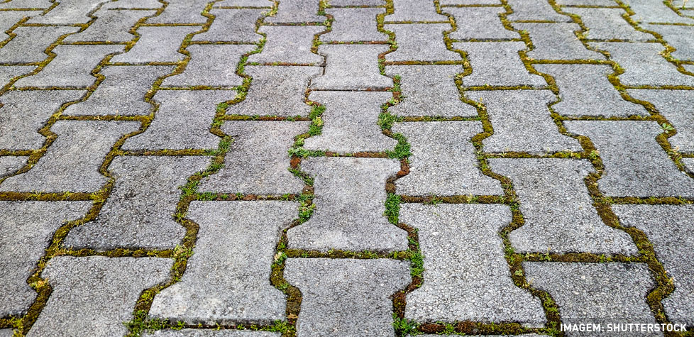 A Qualidade dos pavimentos permeáveis de concreto moldado no local