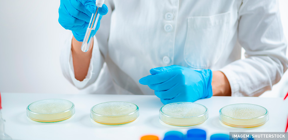 As determinações da bioburden e os testes de esterilidade de produtos biológicos