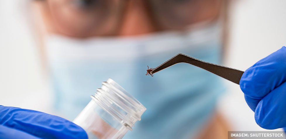 Os problemas médicos da doença de Lyme
