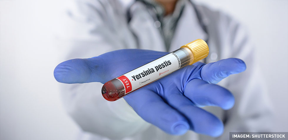 Os riscos médicos da yersiniose